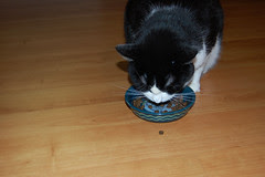 Nom nom nom