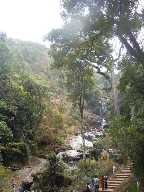 Brahmagiri_Trek_Irupu_Falls1