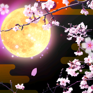 ラブリー夜桜 桜 かっこいい 壁紙 最高の花の画像