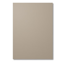 Tip Top Taupe A4 Cardstock