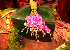 Thai Spirit House