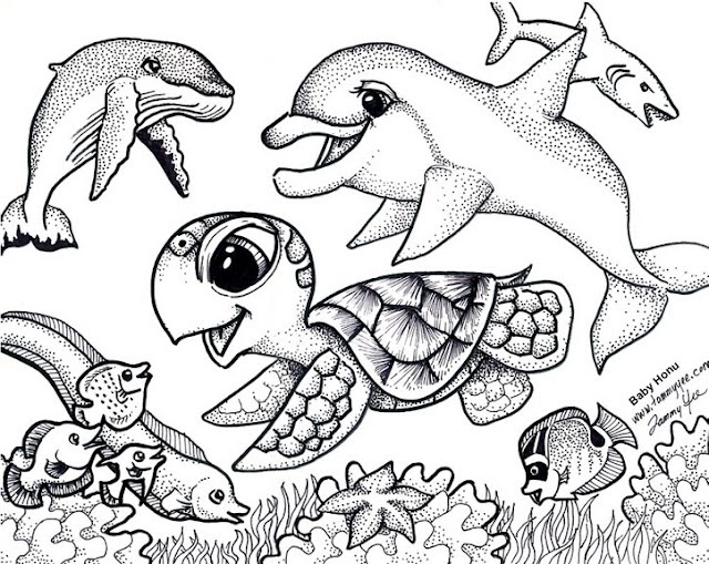 Coloring Pages Sea Animals - Free Coloring Page