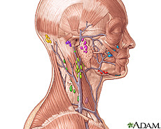 Illustration of the lymph nodes in the head and neck