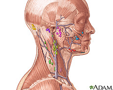 Illustration of the lymph nodes in the head and neck Illustration of the lymph nodes in the head and neck