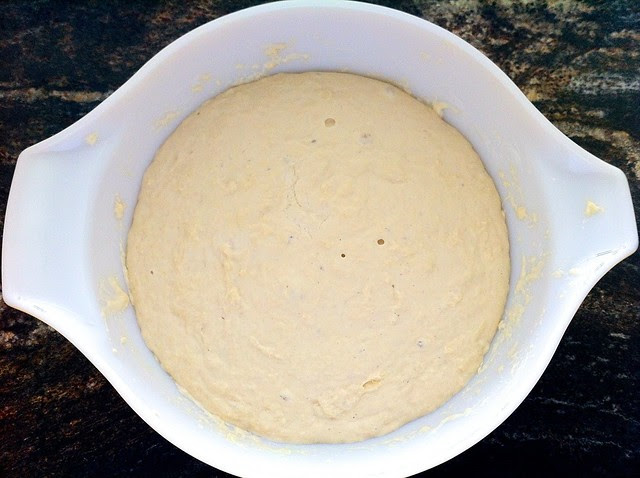 Dough After First Bulk Rise