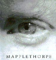 Mapplethorpe The book in question