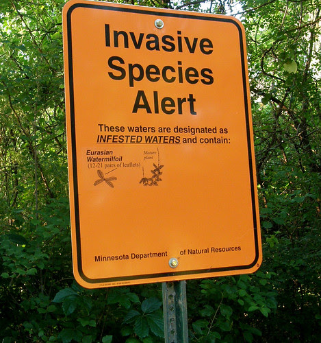 Species alert