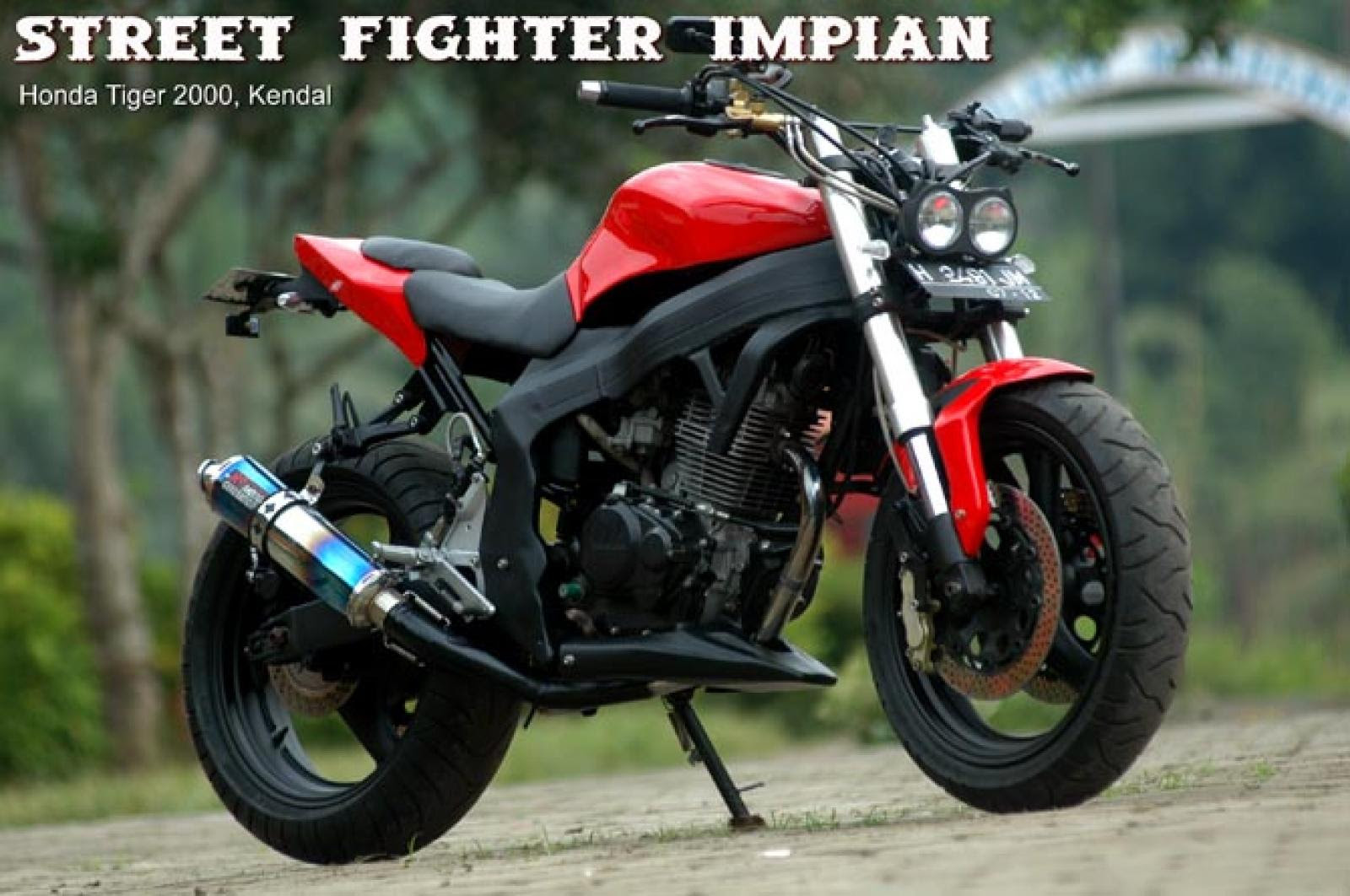 Download Ide Modifikasi Motor Tiger 2000 Street Fighter Terlengkap Download Ide Modifikasi Motor Tiger 2000 Street Fighter Terlengkap