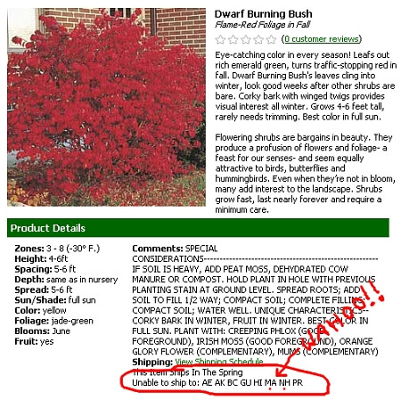 burning bush no longer for sale in Massachusetts or New Hampshire