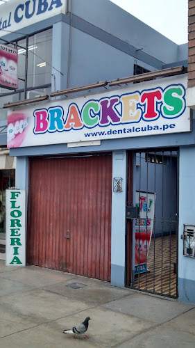 Dental Cuba - Dentista