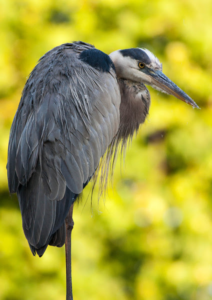 Photo & Video Sharing by SmugMug Photo & Video Sharing by SmugMug