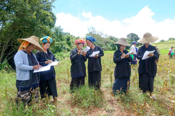Dani farmers learning about new soy varieties, Southern Shan, Myanmar