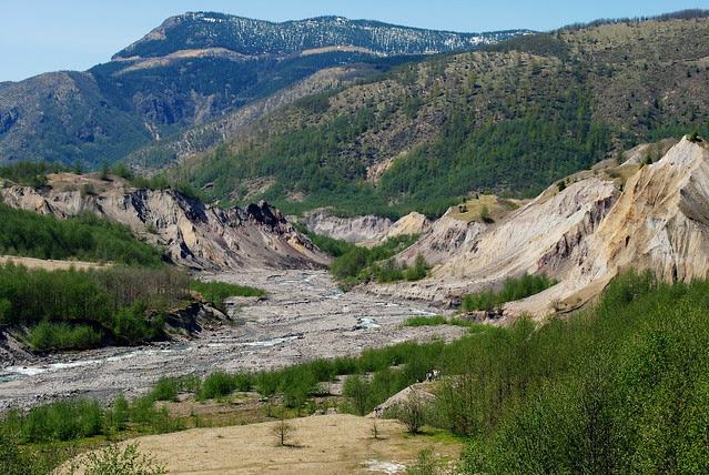 the path cut by the lahar (massive tsunami-like mudflow) that rushed down into the surrounding area when Mt St Helens blew