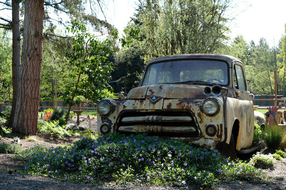 Copyright Ron Martinsen - ALL RIGHTS RESERVED
