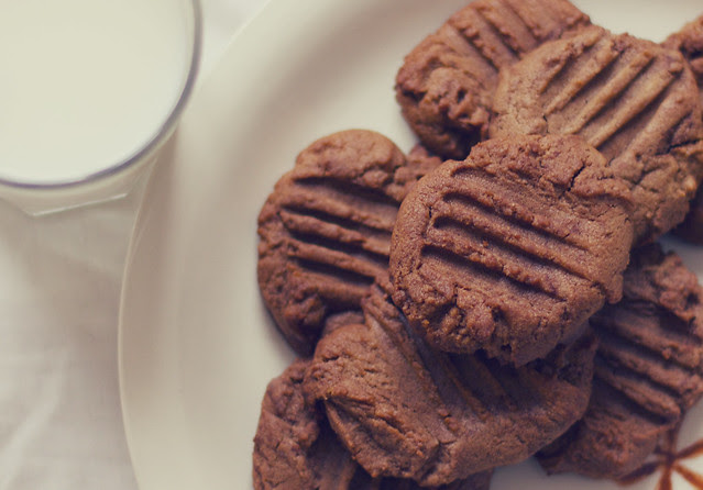peanut butter cocoa cookies