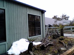 Snow at Cradle Mountain Chateau