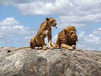 Tanzania Tanzania