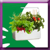 ENVIE DE BIEN MANGER - GAGNEZ DES POTAGERS ENVIE DE BIEN MANGER - GAGNEZ DES POTAGERS