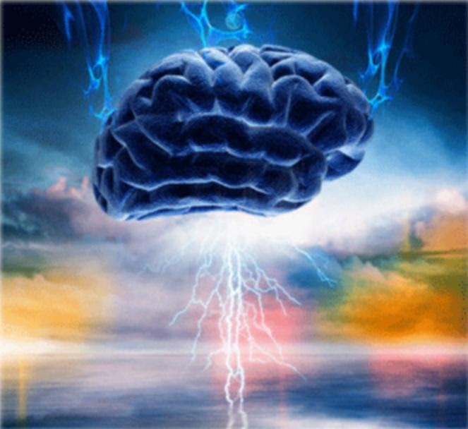 El Cerebro: fuente de Poder