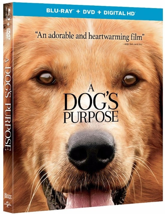 A Dog's Purpose Blu-ray Giveway