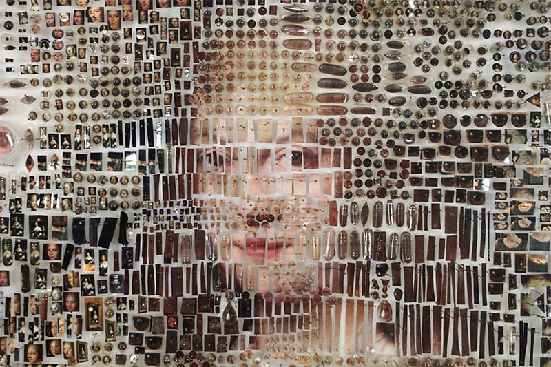 Dutch Paintings Recreated Using Thousands of Photographic and Scientific Specimens Dutch Paintings Recreated Using Thousands of Photographic and Scientific Specimens sculpture multiples collage