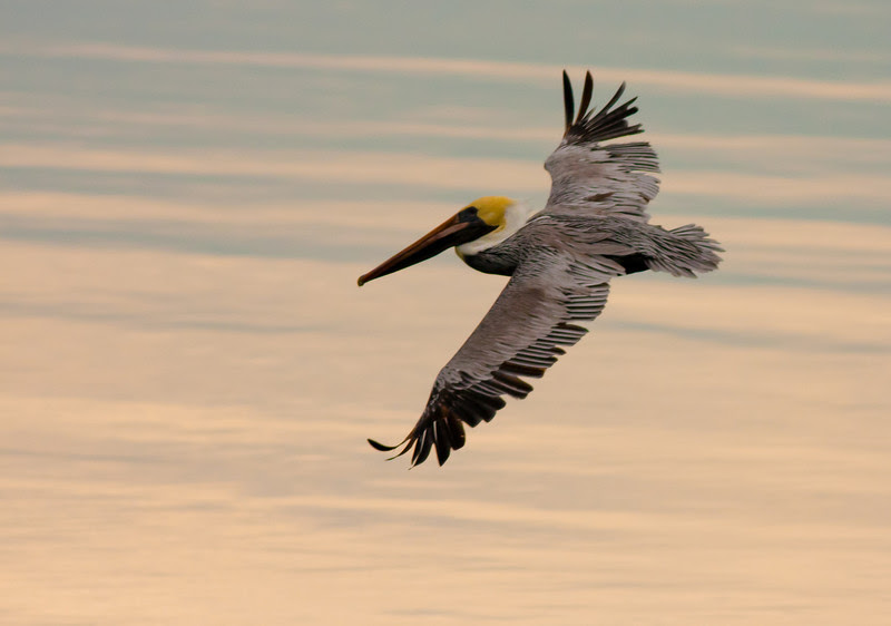 Photo & Video Sharing by SmugMug Photo & Video Sharing by SmugMug