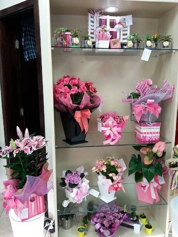 Avaliações sobre Denfalem Flores-Cestas-Eventos em Curitiba - Floricultura