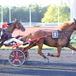 PMU Résultat de la course PRIX AEGLE - 30