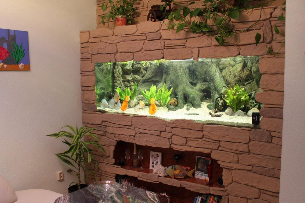 1000 Liter Aquarium Selber Bauen