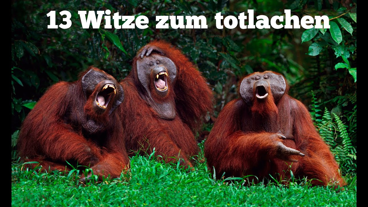 Frauen schön Die besten witze zum totlachen