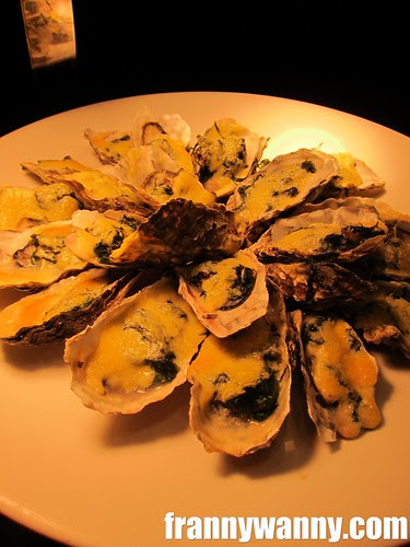 circles oyster 1