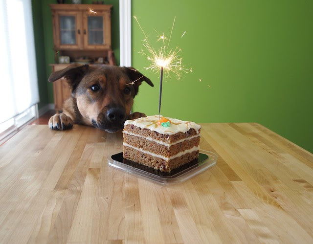 Denny's first Birthday