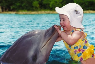 delfines8