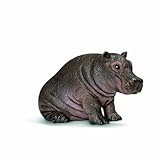 カバ 英語 発音 カバ 英語 発音 読み方