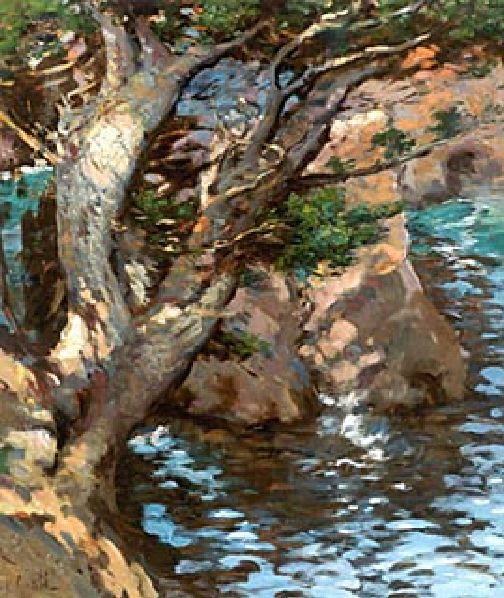 View Of Point Lobos, California