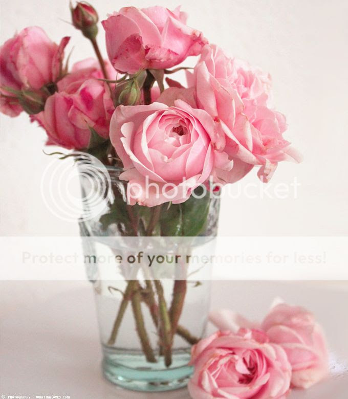 http://i402.photobucket.com/albums/pp103/Sushiina/cityglam/livin9_zpsa605ebb0.jpg