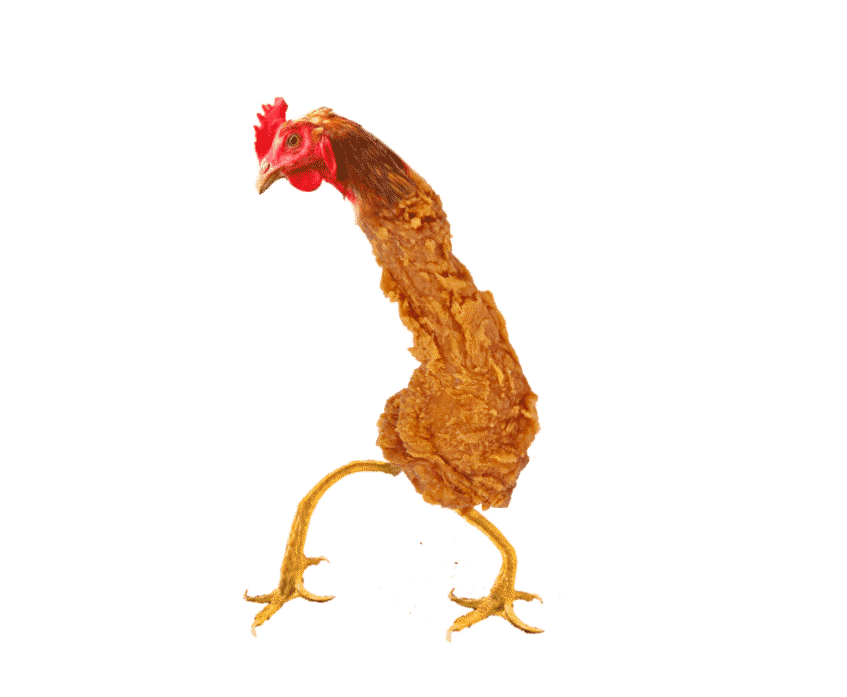 Idées Tendances Miley Cyrus Chicken Gif - Coluor Vows