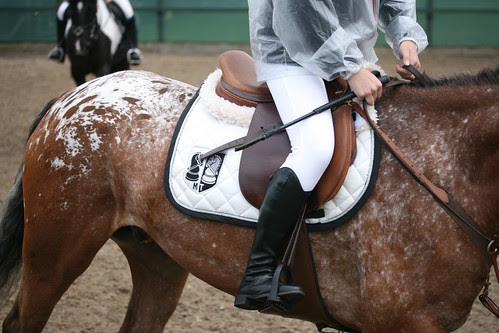 Showjumping