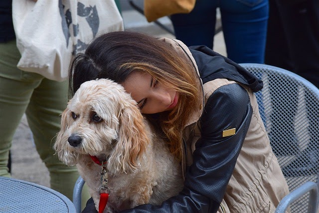 How Can I Make My Dog Emotional Support Animal - Animal West