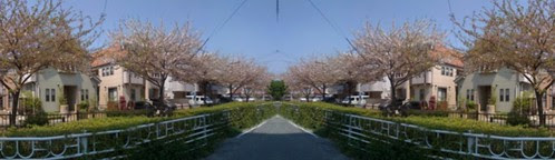 Pano+Symmetry
