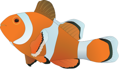 Clown Fish Free Svg - 553+ SVG File for Silhouette - Free SVG Cut File