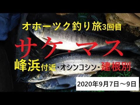 北海道の釣りする熊