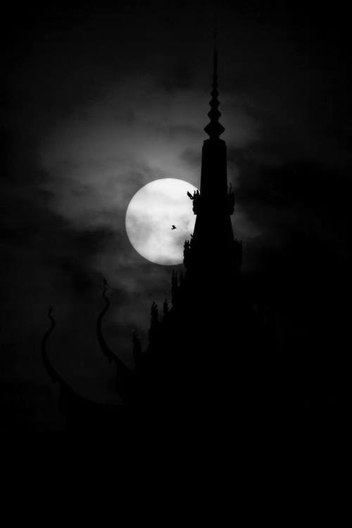 THE FULL MOON  WITH A FULL MOON,  COMES EVIL IN ITS  MANY FORMS.