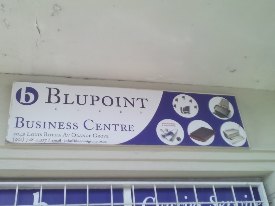 Blupoint Group