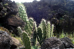 DSC05374