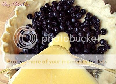 Blueberry Cream Pie photo DSC07056_zps49524c1f.jpg