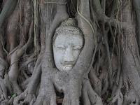 Free Image Hosting at www.ImageShack.us
