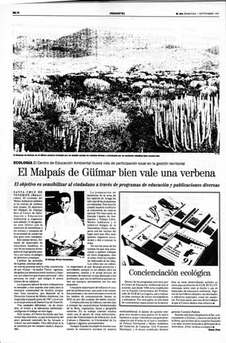 1991. Verbena