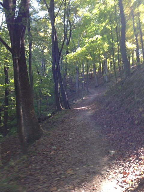 photo.JPG