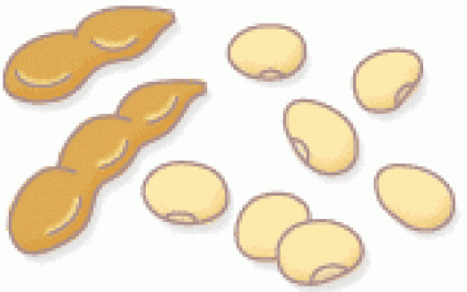 動物の壁紙 綺麗な大豆 イラスト 無料